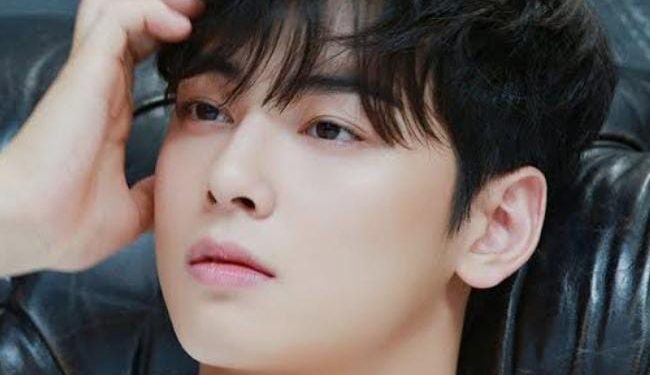 Bayang-bayang Kasus Pajak, Satu per Satu Kerja Sama Brand dengan Cha Eun Woo Mulai Meredup
